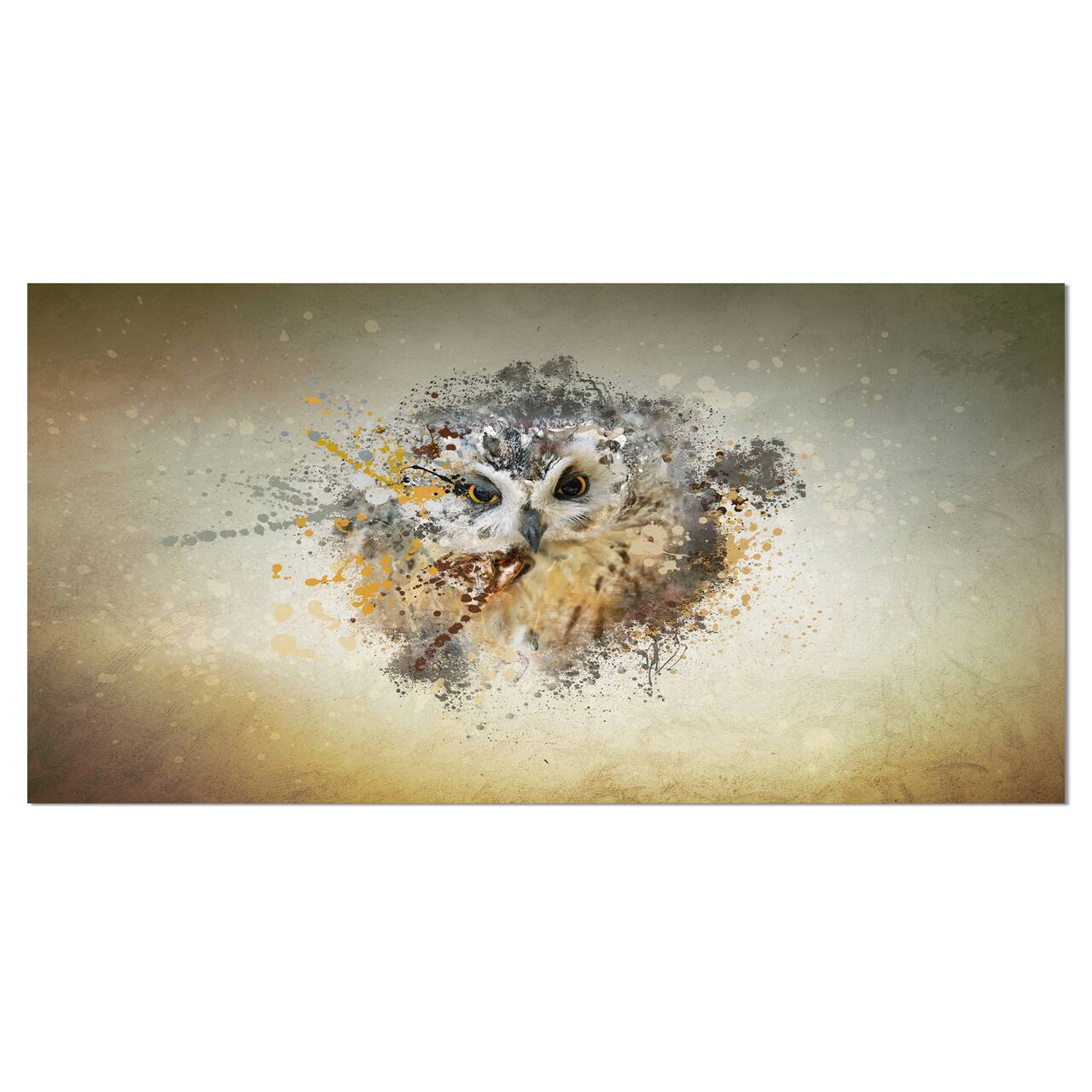 Designart - Large Gracing Owl - Animal Canvas Wall Art